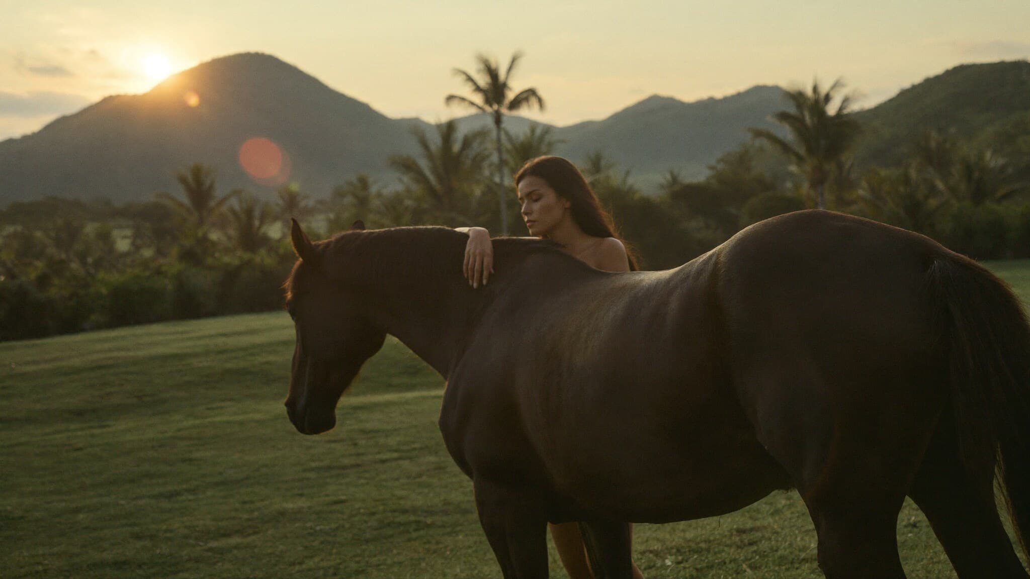 Persona y caballo al atardecer en la naturaleza