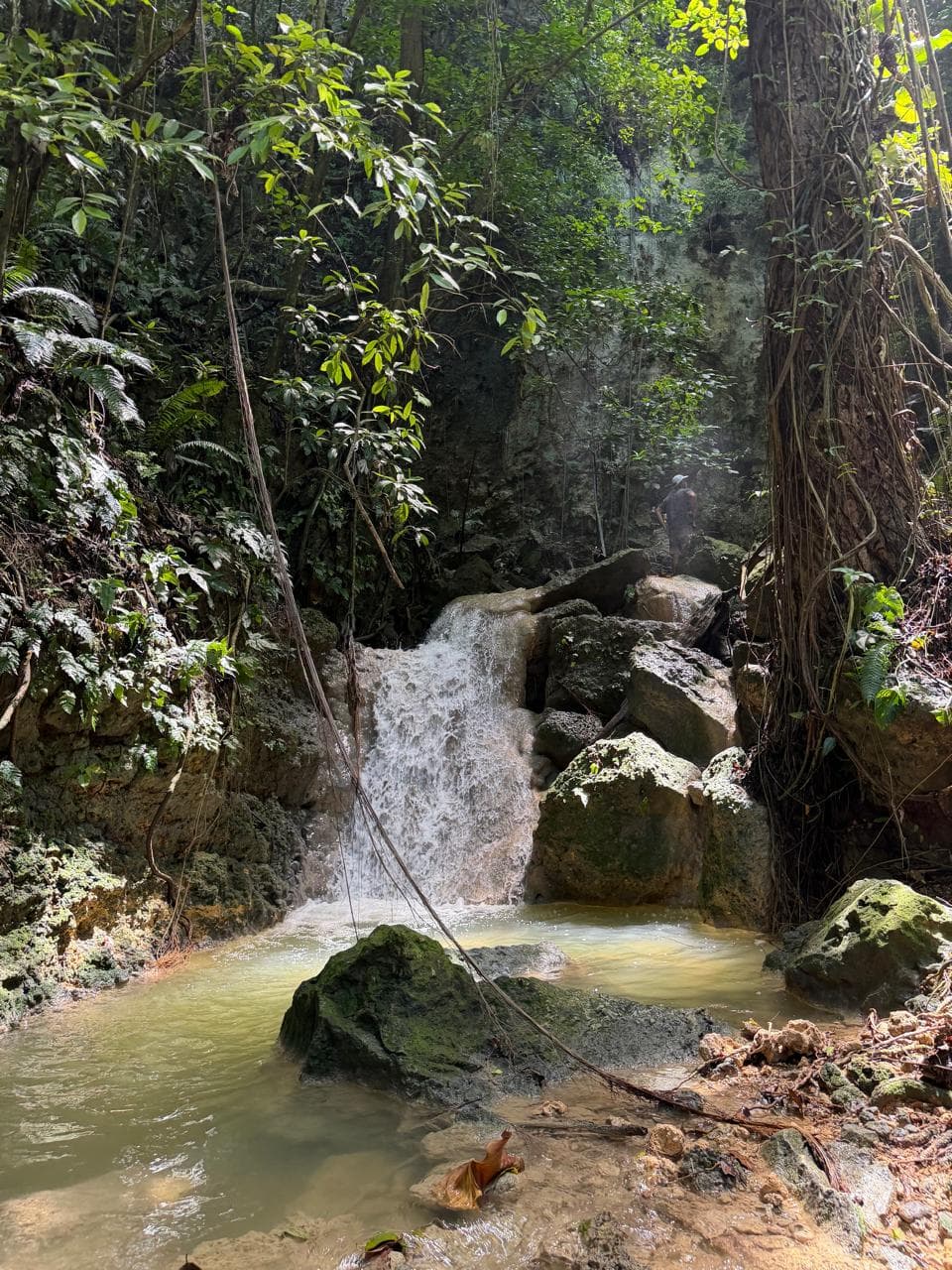 Río privado · Finca EDV
